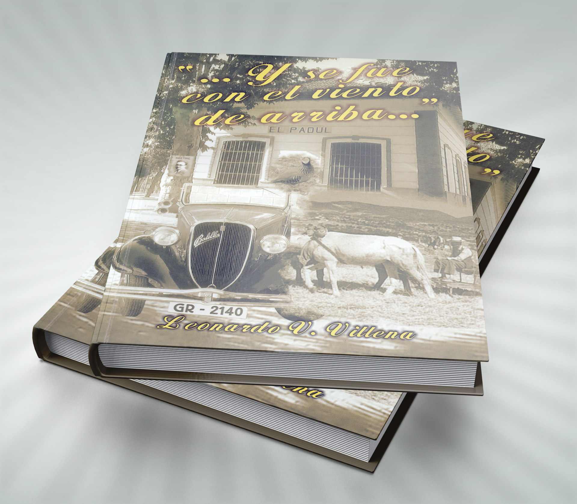 se fue con el viento